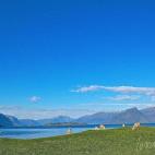 Muy cerquita de Bergen, el Hardangerfjord es el tercer fiordo más grande del mundo. Mide 179 kilómetros y es perfecto para surcarlo en barco, pero también para recorrerlo a pie haciendo una ruta por la zona donde se puede visitar la Baronía ...