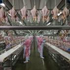 Feeding China (Alimentado China)