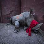 Waiting for Freedom (Esperando la libertad)