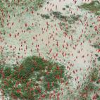 Amazon: Paradise Threatened (El Amazonas: para&iacute;so amenazado)