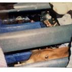 En la retaguardia de un rodeo, una de sus primeras coberturas