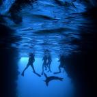 Galapagos: Rocking the Cradle (Gal&aacute;pagos: meciendo la cuna)