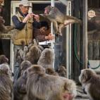 Sacred No More (Ya no son sagrados)