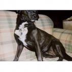 De su primera tanda de fotos en Texas