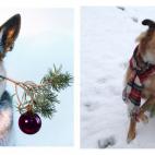 5c8ae7b1360000a61b6c42f8