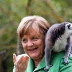 5d64d49b25000034008720ac