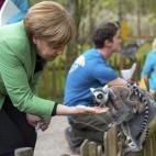 5d64d49b3c00004e0045ca11