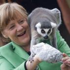 5d64d49c2500004e008720b0