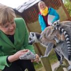 5d64d49c2500004e008720b6