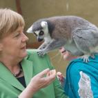 5d64d49d250000710a7241a7