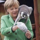 5d64d49d25000034008720ba