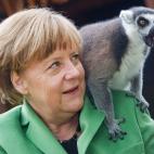 5d64d49e3c0000330045ca15