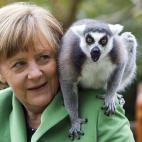 5d64d49e250000710a7241ad