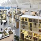 5c8aa8292300002f00e6ea3e