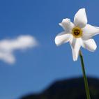 En Grundlsee (Austria)