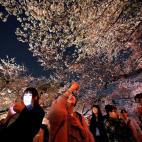 5c8a7fc12400006d054bec43