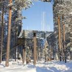 Imágenes de la página de Facebook de Treehotel (Suecia)
