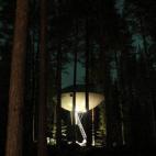 Imágenes de la página de Facebook de Treehotel (Suecia)