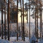 Imágenes de la página de Facebook de Treehotel (Suecia)