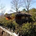 Imágenes de la página de Facebook de Nidos de Pucón (Chile)