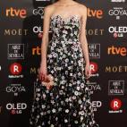 De Dolores Promesas.