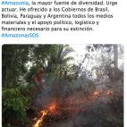 La Amazonia de Pedro S&aacute;nchez es otra Amazonia. Se extiende por Brasil, Per&uacute;, Paraguay y Argentina. &iquest;Paraguay y Argentina? La Amazonia del resto del mundo abarca otros pa&iacute;ses: Brasil, Per&uacute;, Bolivia, Colombia, Ve...