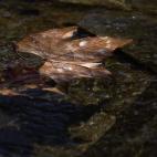 5c8a59b73b000037066be077