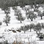 5c8a59b824000093024bc0b3