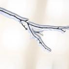 5c8a59b83b000072066be07d