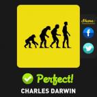 5c8aa92c2300003000e6ec88