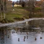 5c8a59ba260000e804fe3e2d