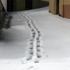 5c8a59bb20000043046f0d71