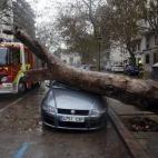 5c8a59bb2500000704c8f065