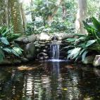 Sus infinitas variedades de especies vegetales tropicales y subtropicales hacen de este jard&iacute;n un espacio repleto de naturaleza digno de ver. Es una explosi&oacute;n de verdor alrededor de la cual disfrutar de hermosos, refrescantes y tra...