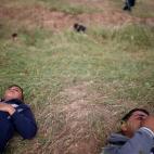 5c8a7bbd2400004205a32253