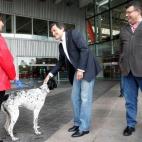 5c8ab829230000d5042392b3