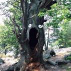 5c8aac6720000045046f88a5