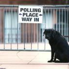 5c8aad212400004205a379e6