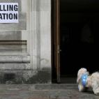 5c8aad22360000c81a6bdbef