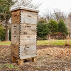 La familia Pence añadió una colmena a las propiedades de la residencia.