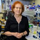 La inmunóloga, viróloga y también investigadora del CSIC Margarita del Val ya apuntó el pasado mes de octubre en 'Todo es mentira' el peligro que traían las navidades. "Este año van a caer en julio porque mezclarnos en mitad del invierno c...