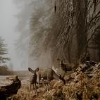 Un encuentro inesperado.