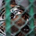 5c8aadea2500001304c970ee