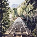 Viaducto Vance Creek. Shelton, Washington, Estados Unidos. Foto de Ethan Scoma/Snapwire.