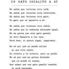 5c8aad2f2500001304c96fee