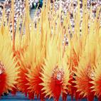 5c8a45a6230000dd0422e273