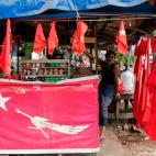 Banderas en la reapertura del Parlamento.