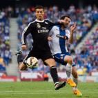 5c8aaf5a230000d504238211