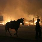 5c8abaa82400004205a39373