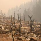 5c8abaaa2000009d036fa29b